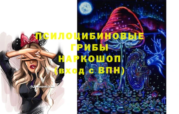 хмурый Алексин