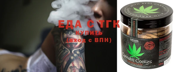 хмурый Алексин