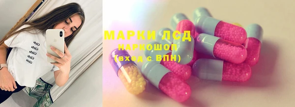 хмурый Алексин