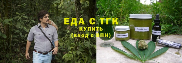 хмурый Алексин