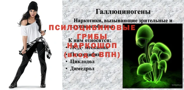 твердый Алзамай