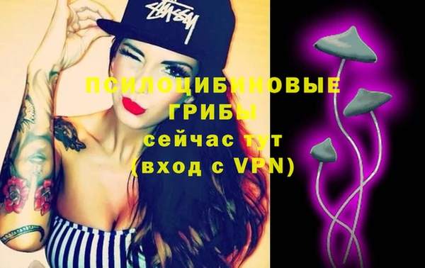 твердый Алзамай