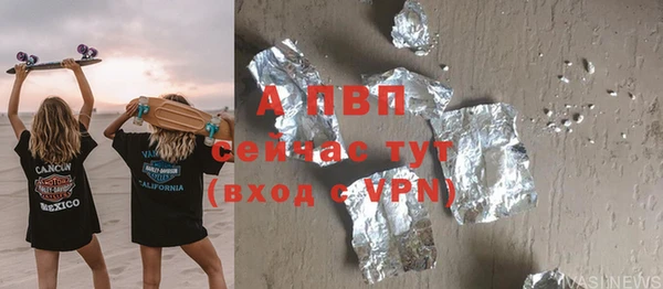 хмурый Алексин
