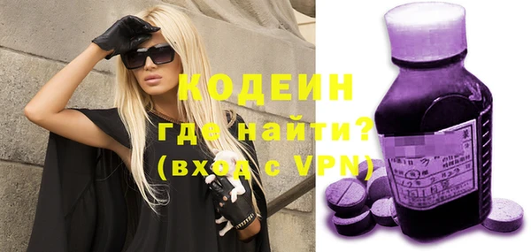 хмурый Алексин