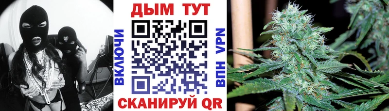 МАРИХУАНА гибрид  Раменское 